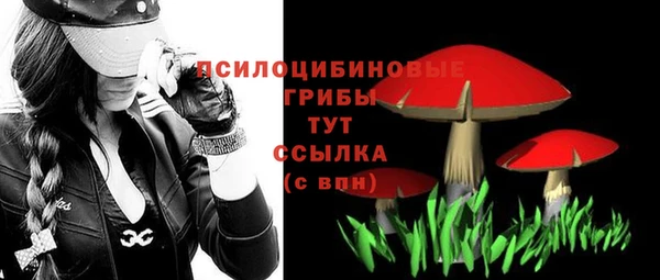 2c-b Лагань