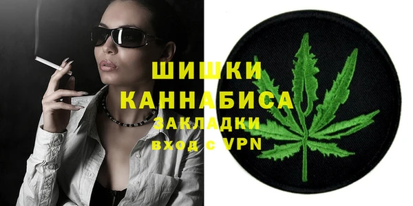 соль ск Кулебаки